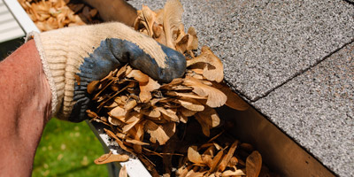 Leaves Green gutter cleaning prices